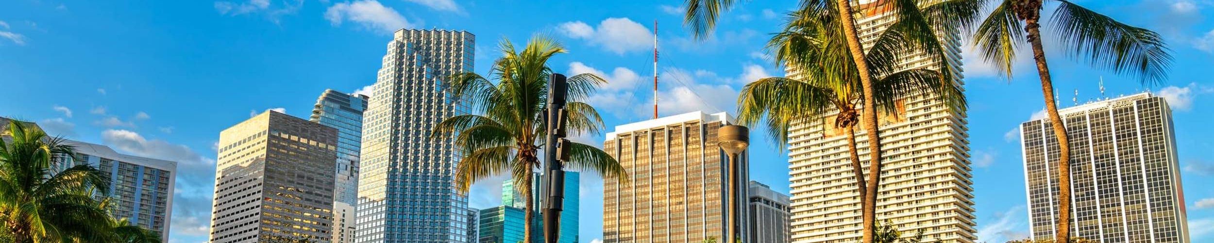 commercial decorative window film Tampa Bay