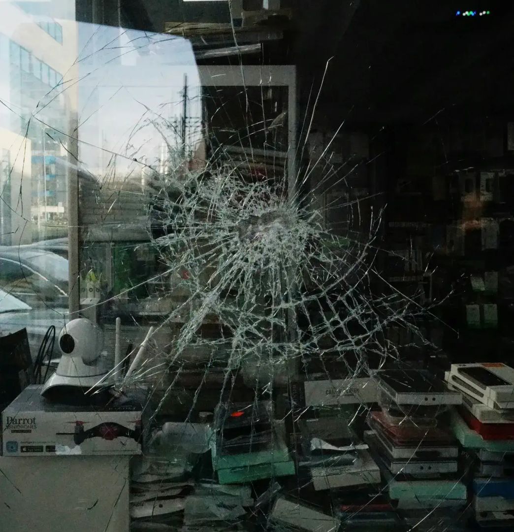 security film installation Tampa Bay home